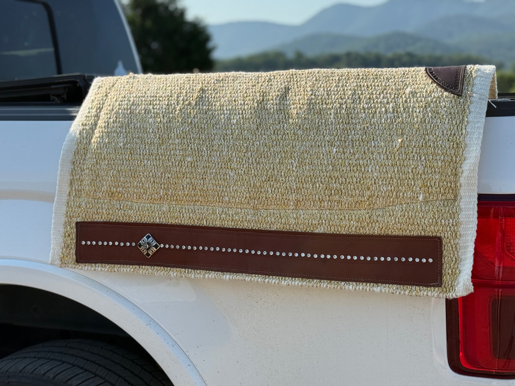 Metallic Gold crystal wear leather